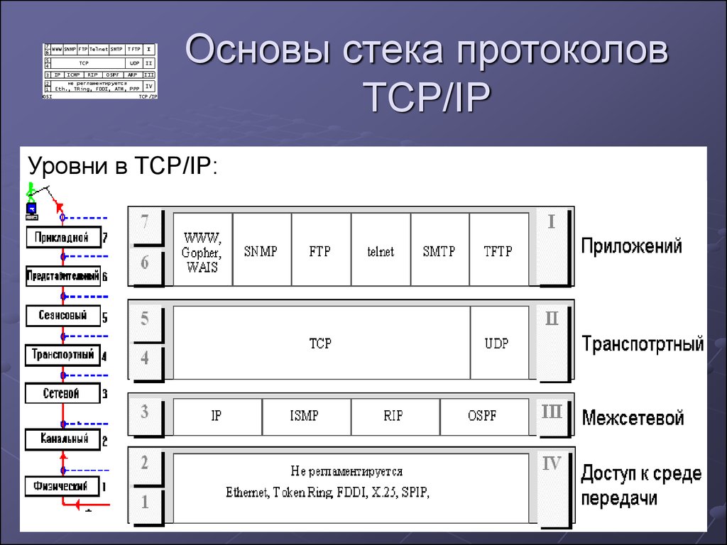 На каком уровне четырехуровневой модели стека протоколов tcp ip работает служба dns