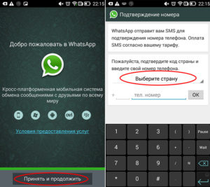 Как пользоваться WhatsApp на телефоне